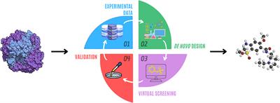 De novo drug design through artificial intelligence: an introduction